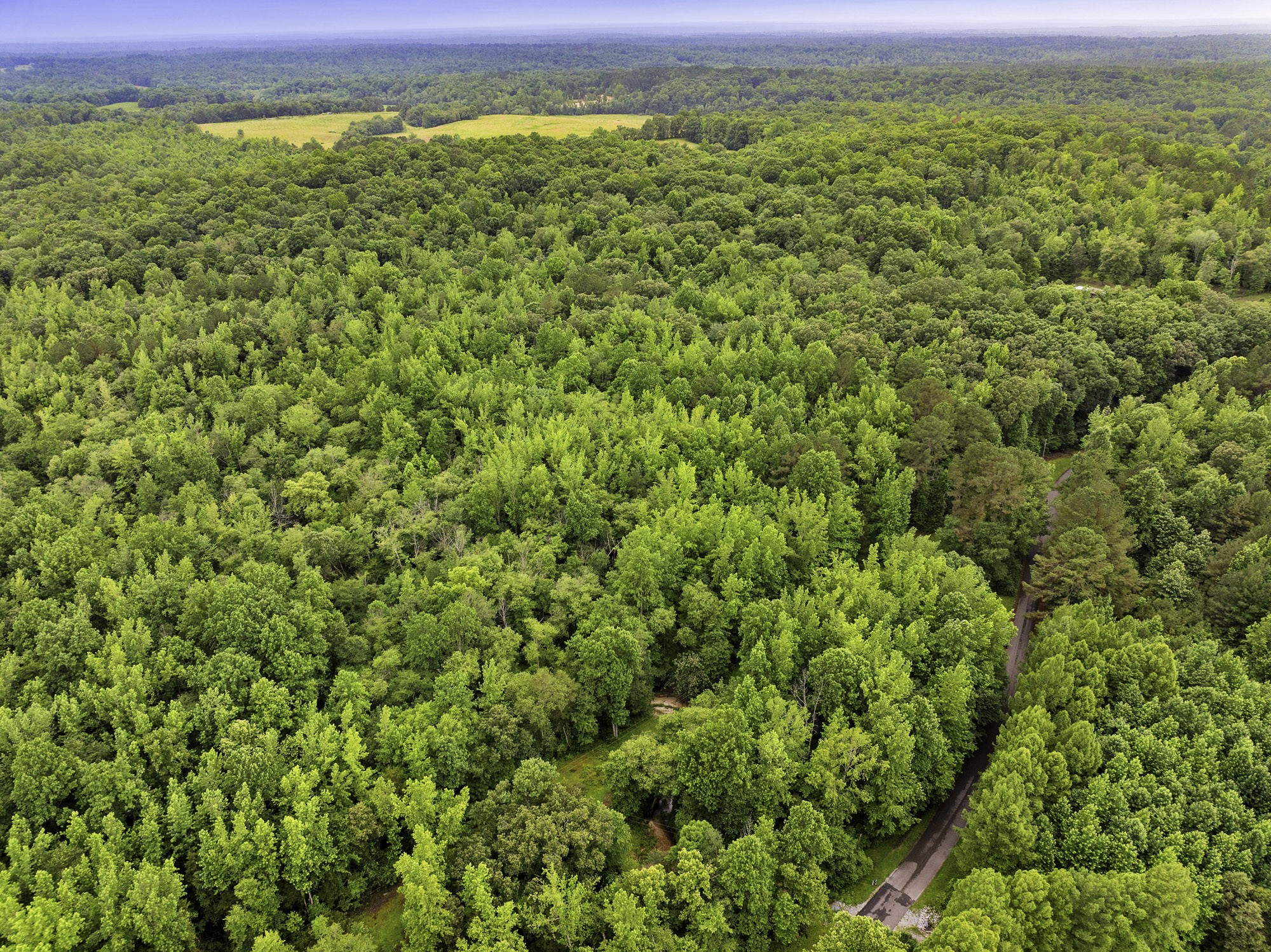 1303 Pugh Road Holladay, TN 38341 - Photo 10 of 32 a view of a field with an outdoor space