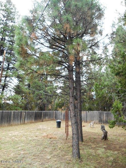 2843 Timber Trail Loop Overgaard, AZ 85933 - Photo 14 of 32 Gallery Image 14
