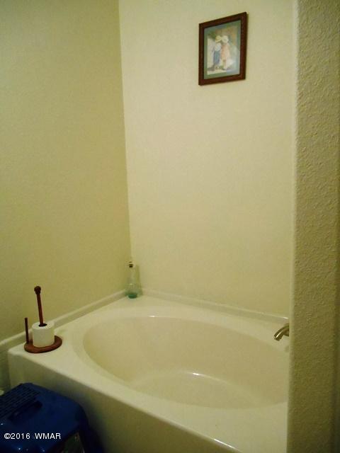 2843 Timber Trail Loop Overgaard, AZ 85933 - Photo 26 of 32 Gallery Image 26