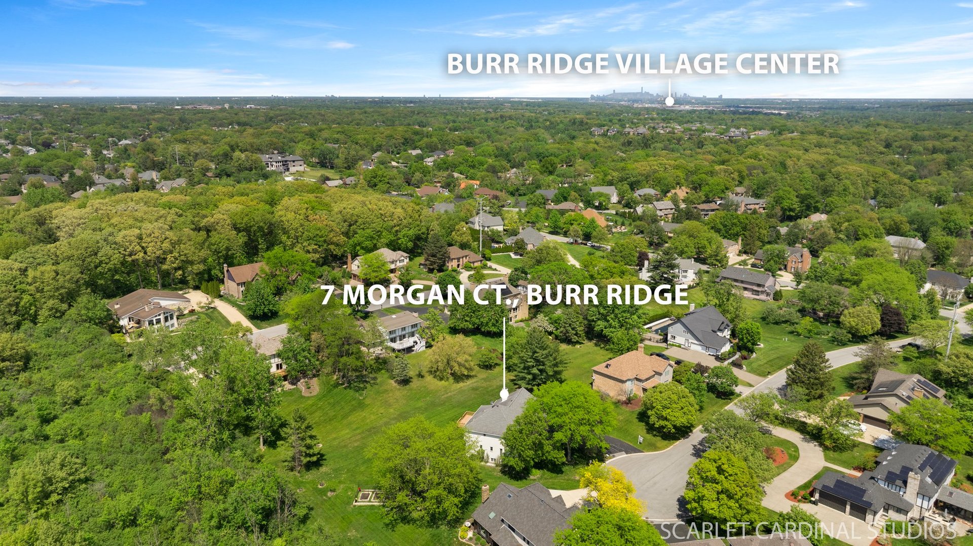 7 Morgan Court Burr Ridge, IL 60527 - Photo 18 of 29 Gallery Image 18