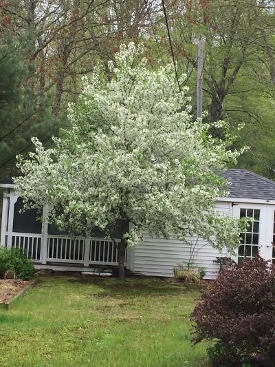 531 Kings Factory Road Charlestown, RI 02813 - Photo 44 of 46 Artist studio