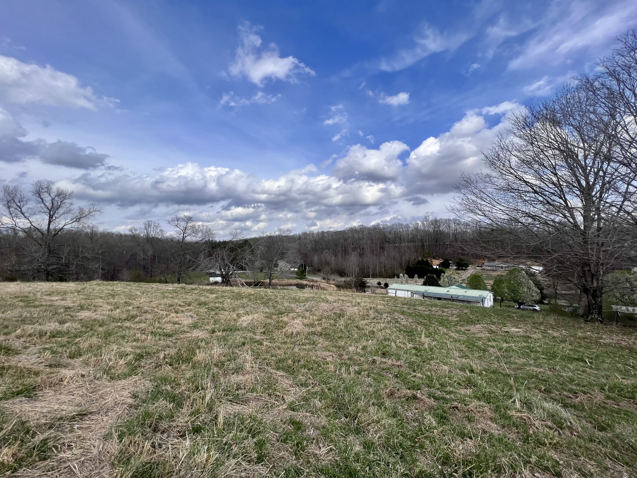 693 Littrell Road Loretto, TN 38469 - Photo 27 of 57 a view of a backyard of the house