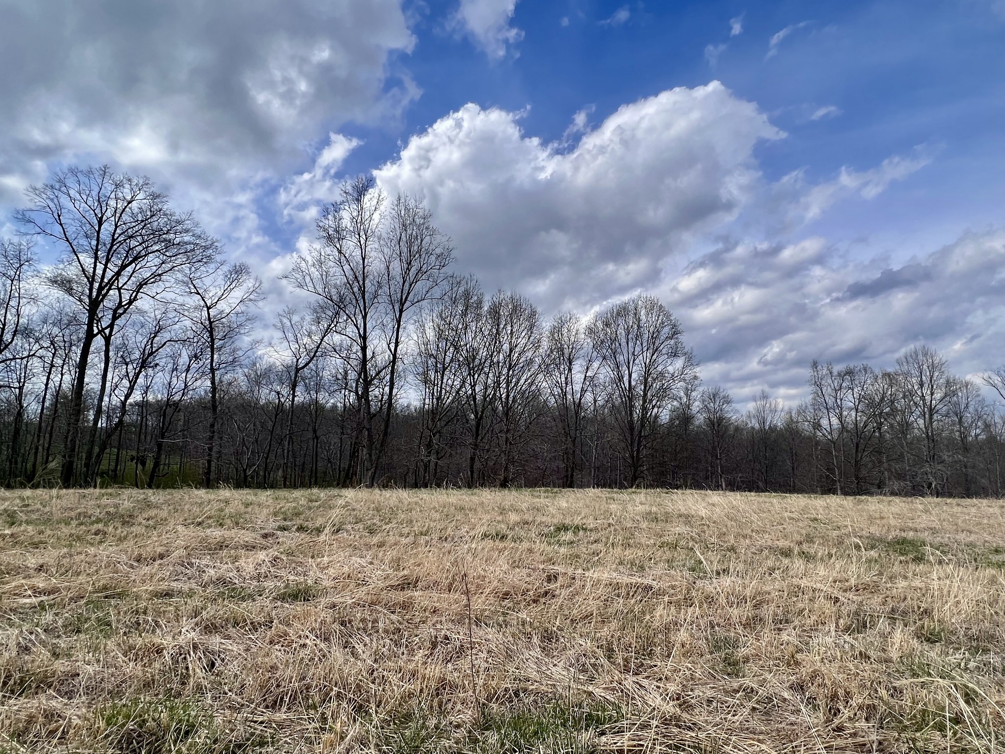 693 Littrell Road Loretto, TN 38469 - Photo 29 of 57 a view of wooden fence