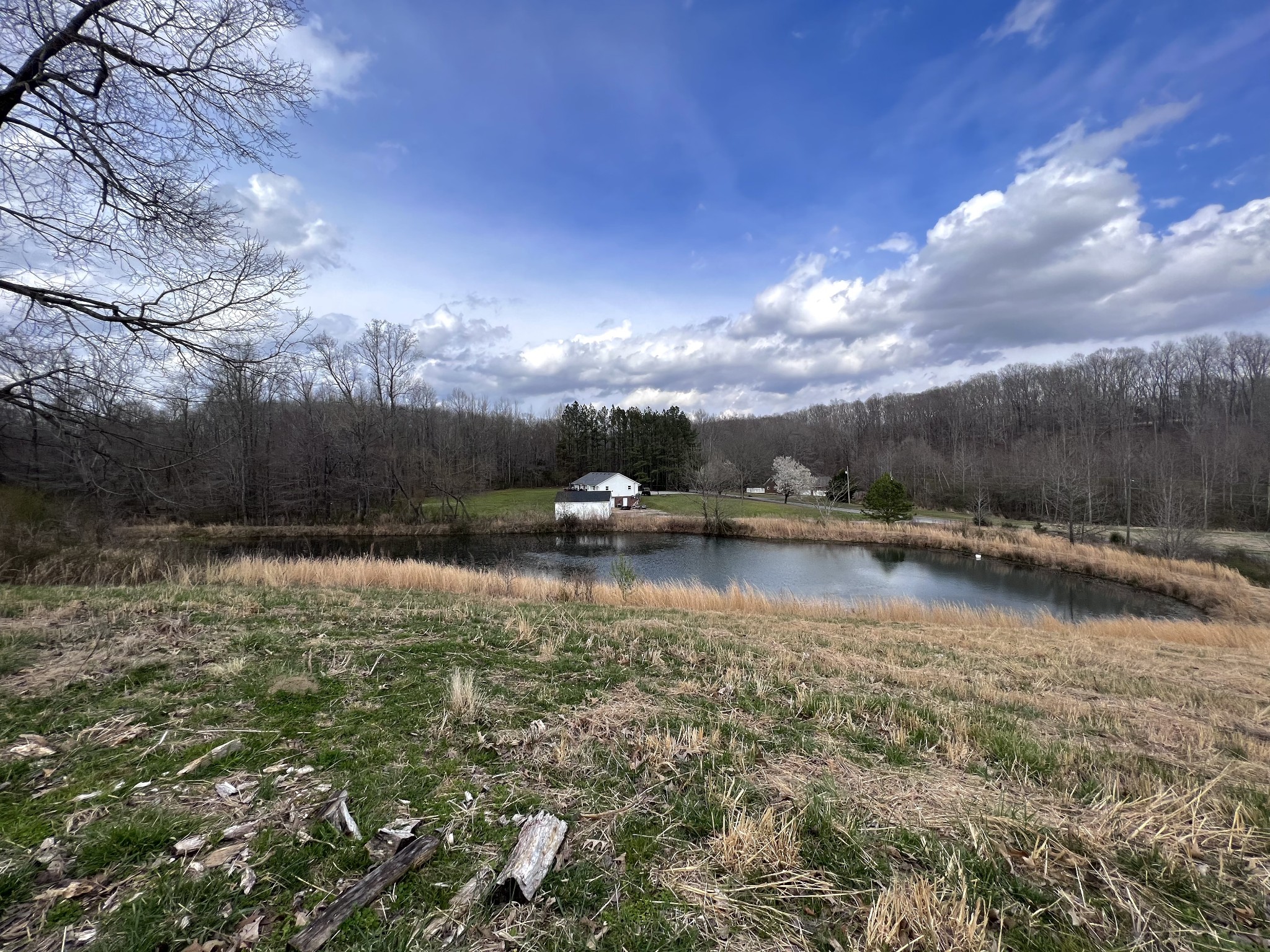 693 Littrell Road Loretto, TN 38469 - Photo 3 of 57 a view of swimming pool with a yard