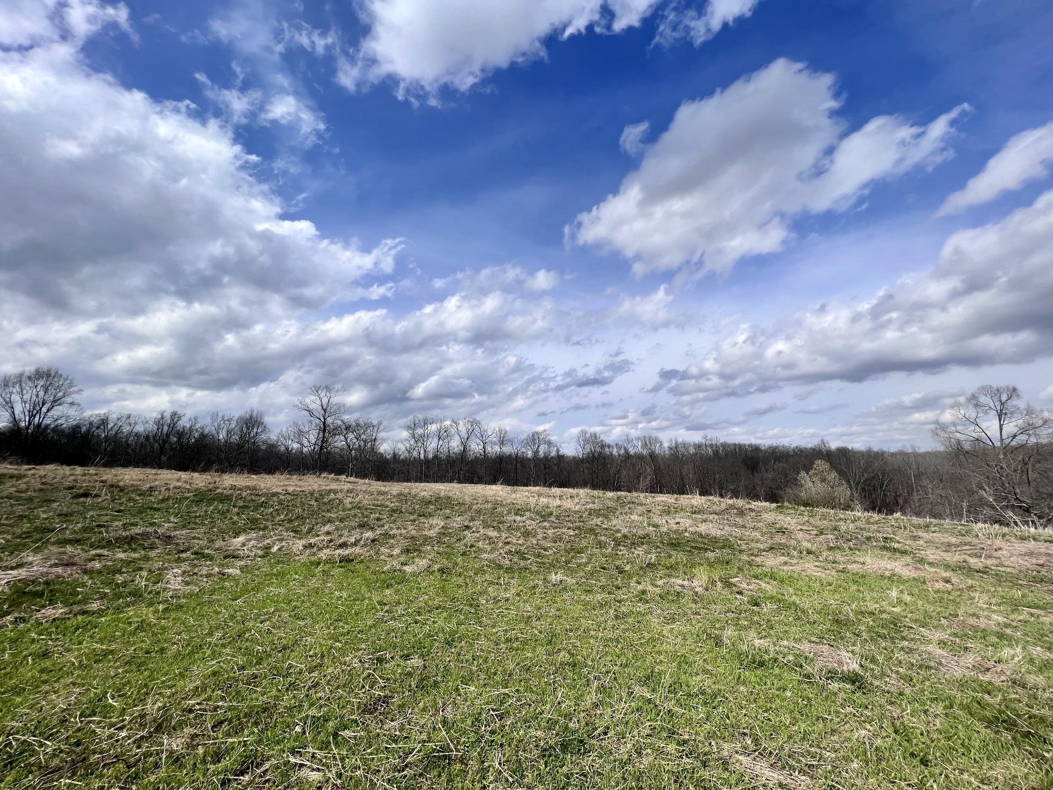 693 Littrell Road Loretto, TN 38469 - Photo 31 of 57 a view of a field with an ocean