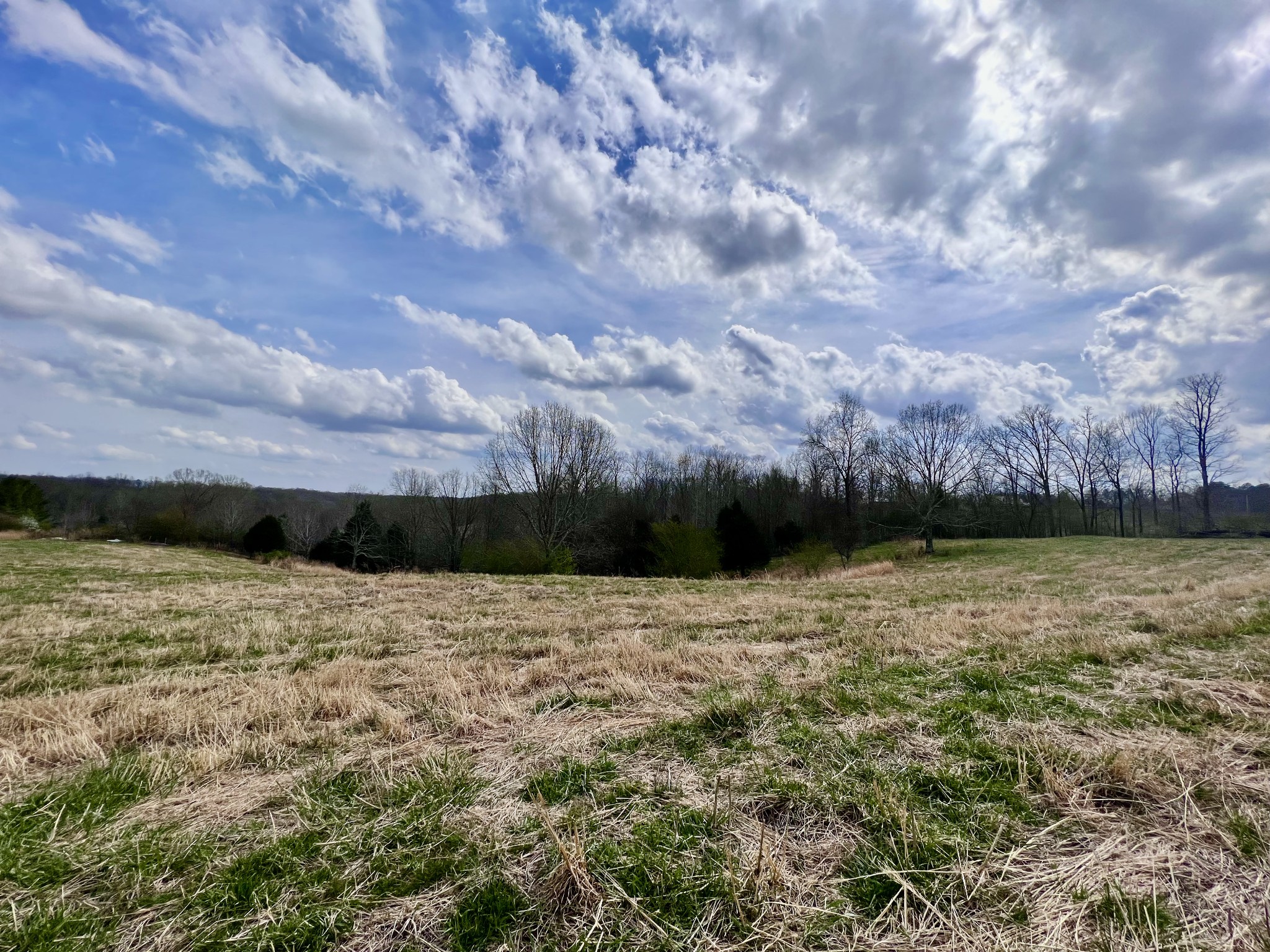 693 Littrell Road Loretto, TN 38469 - Photo 32 of 57 a view of an ocean beach