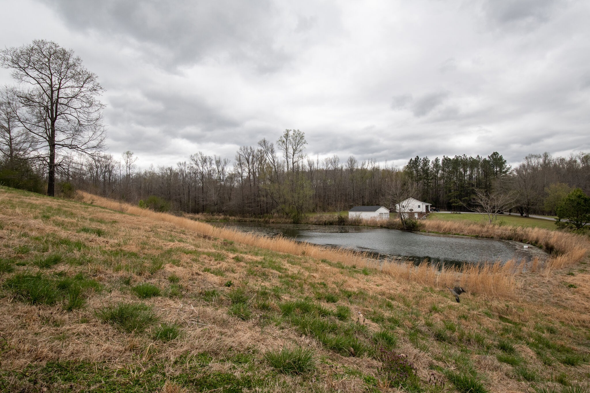 693 Littrell Road Loretto, TN 38469 - Photo 49 of 57