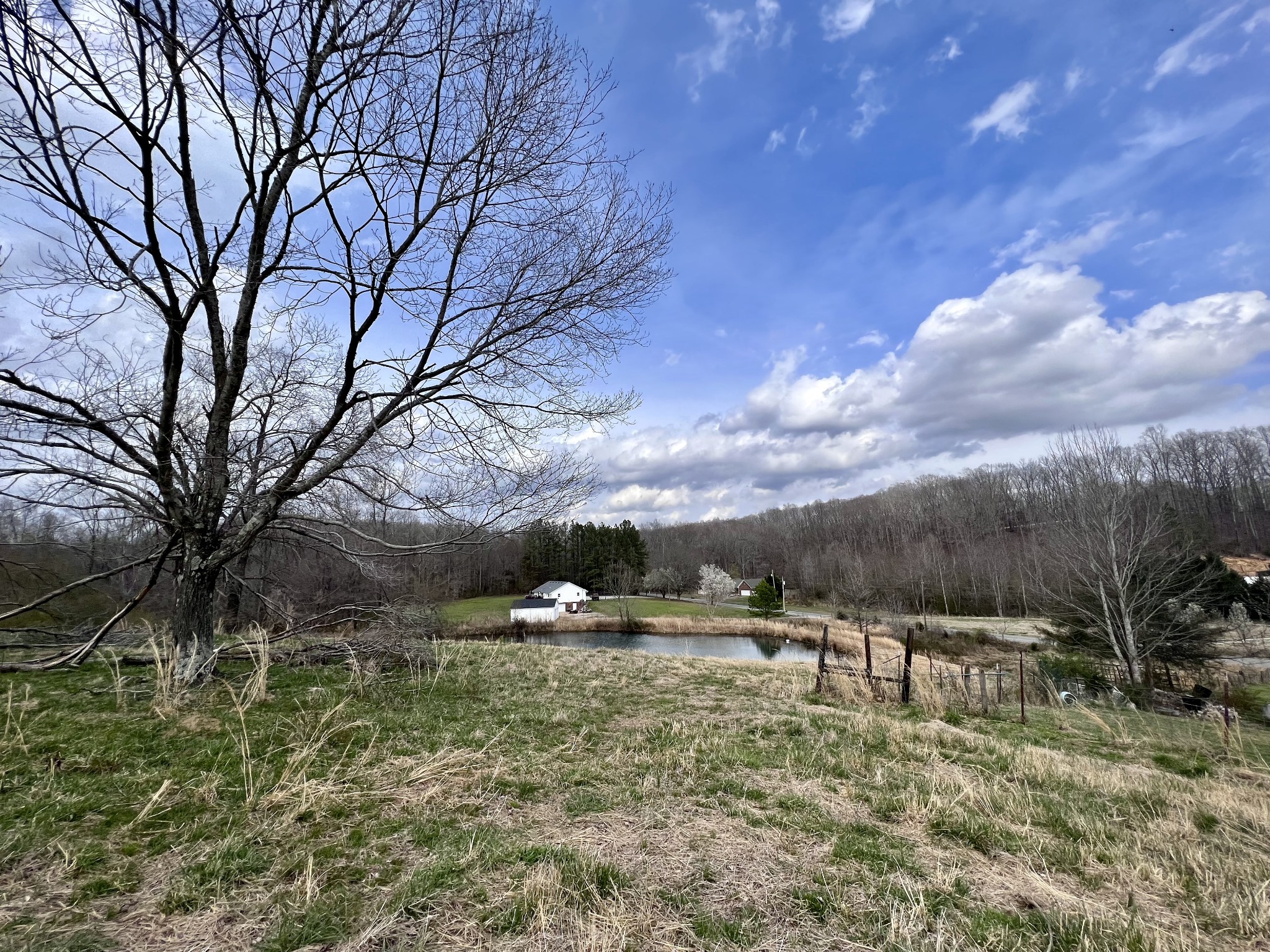 693 Littrell Road Loretto, TN 38469 - Photo 5 of 57 a backyard of a house with lots of green space