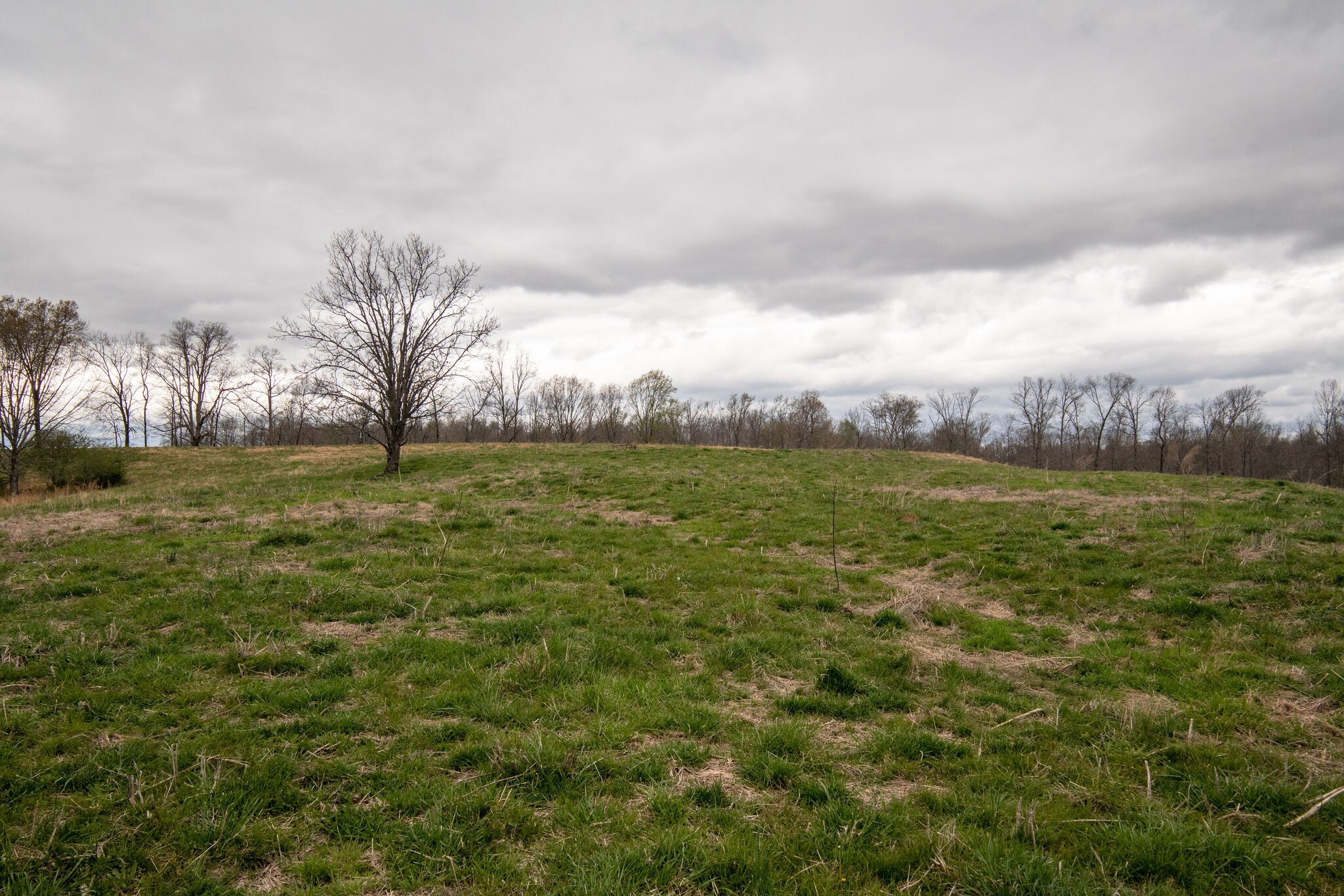 693 Littrell Road Loretto, TN 38469 - Photo 51 of 57