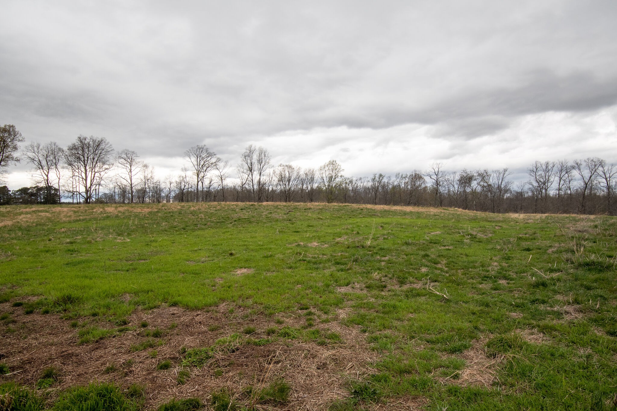 693 Littrell Road Loretto, TN 38469 - Photo 52 of 57