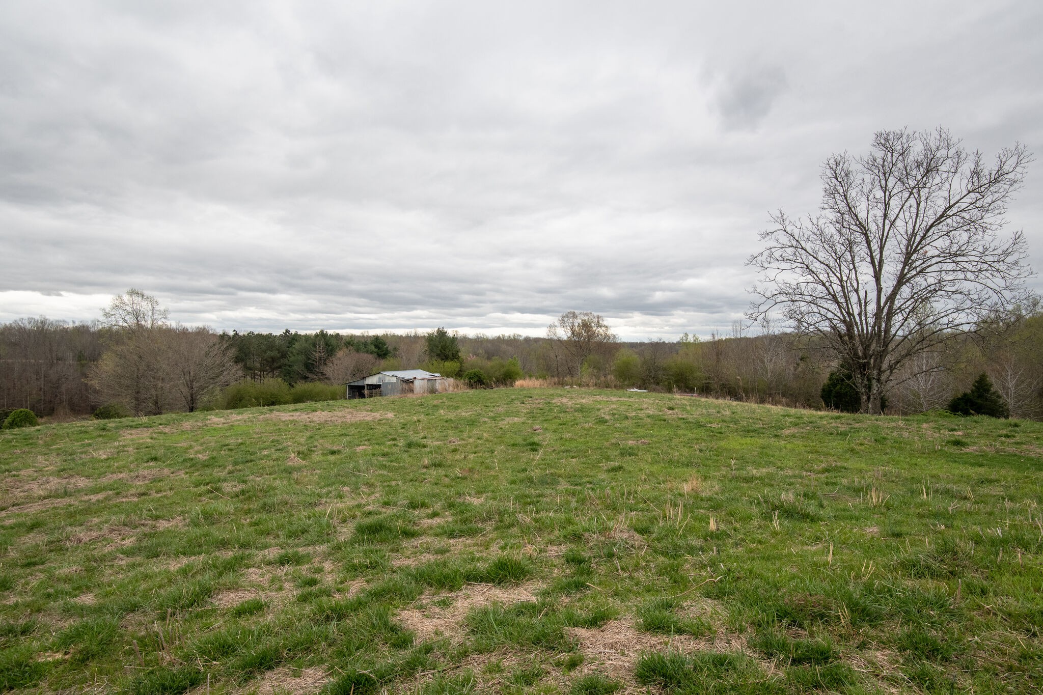 693 Littrell Road Loretto, TN 38469 - Photo 53 of 57 a view of an outdoor space and yard