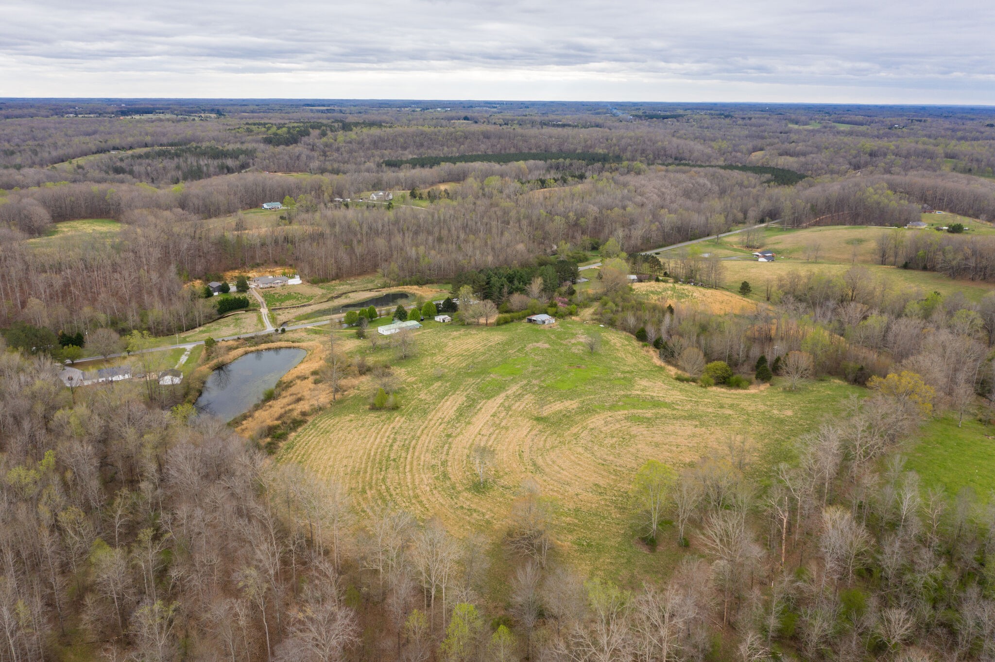 693 Littrell Road Loretto, TN 38469 - Photo 54 of 57 a view of a field with an ocean
