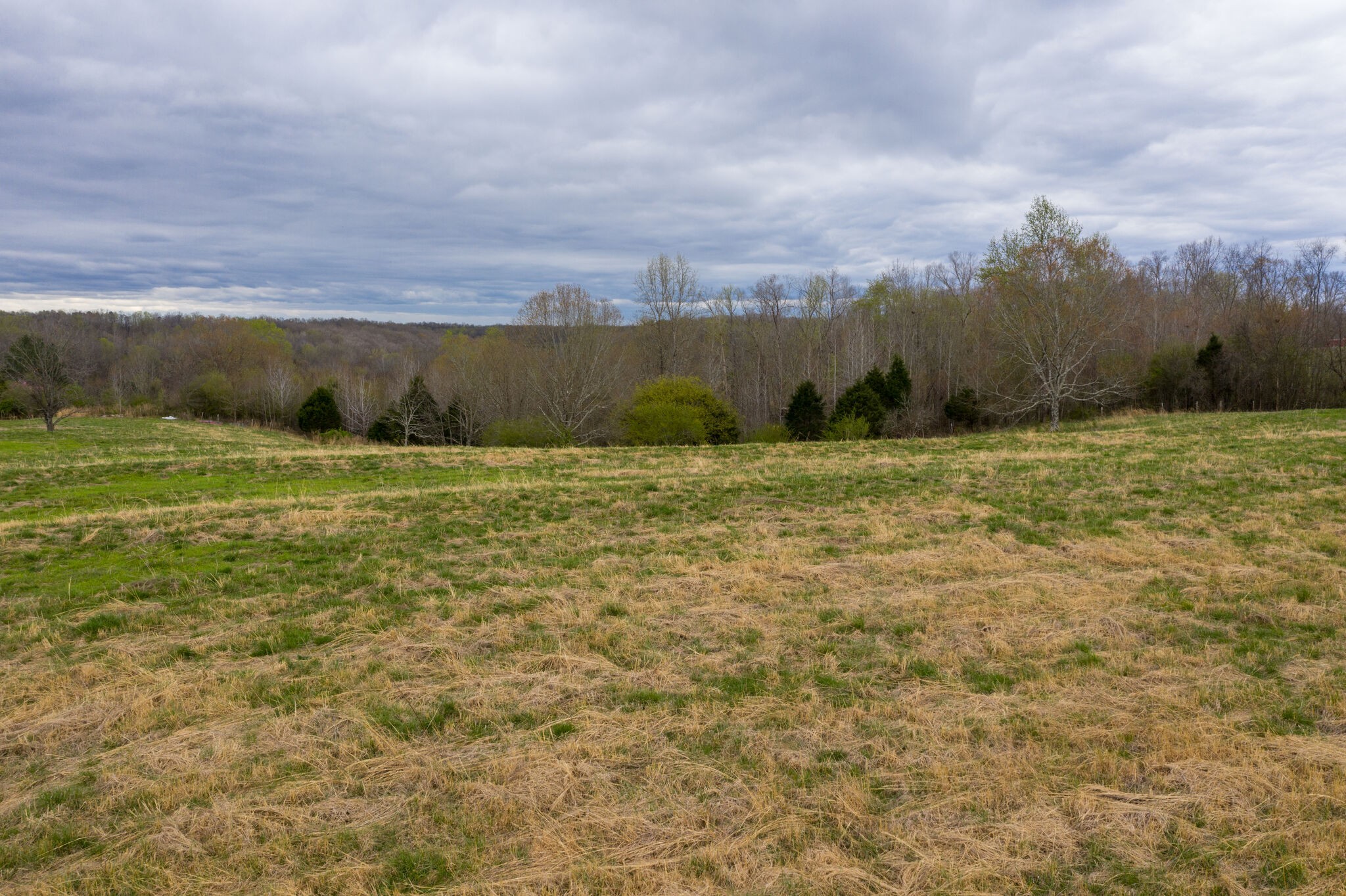 693 Littrell Road Loretto, TN 38469 - Photo 55 of 57 a view of a field with an ocean