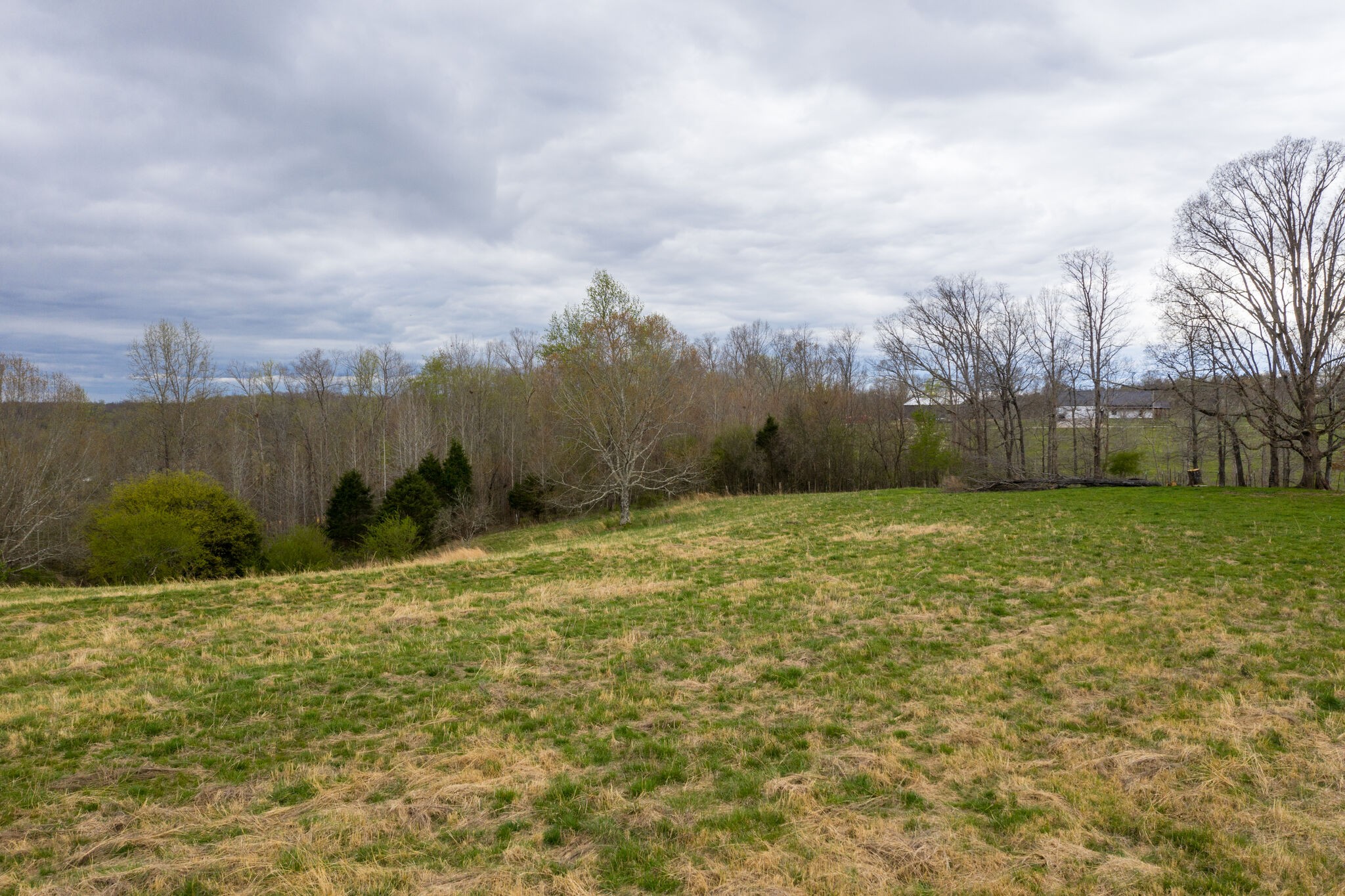 693 Littrell Road Loretto, TN 38469 - Photo 56 of 57