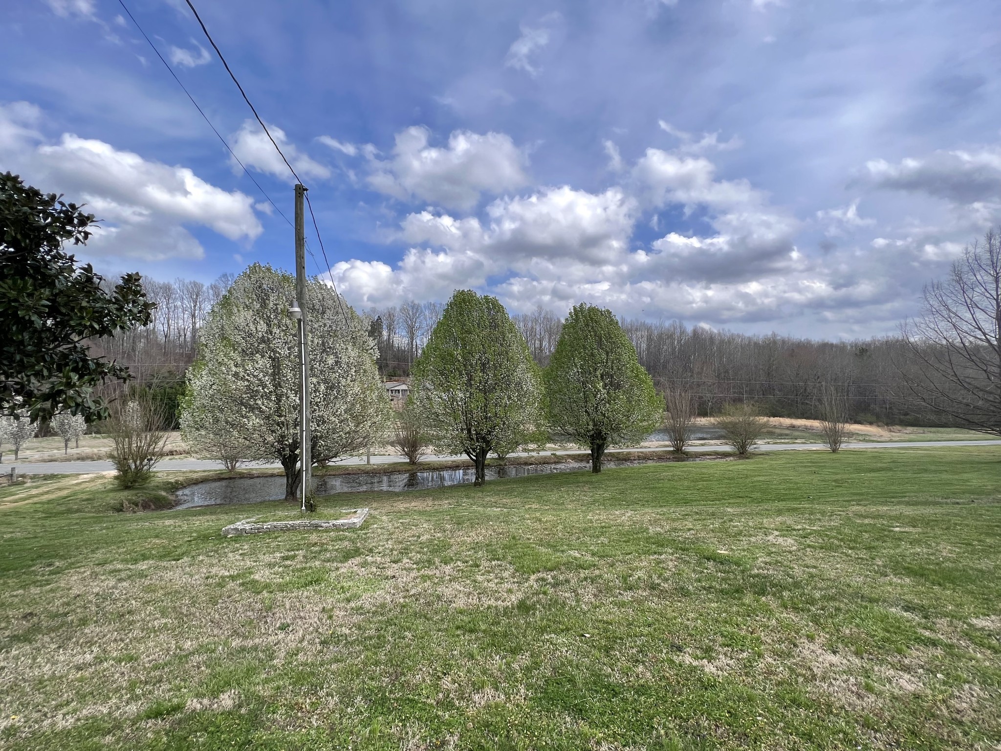 693 Littrell Road Loretto, TN 38469 - Photo 7 of 57 a view of a park that has large trees