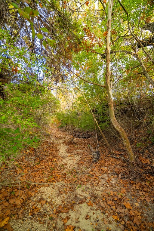 518 Curly H Ranch Road Dripping Springs, TX 78620 - Photo 19 of 40 a view of a yard with a tree