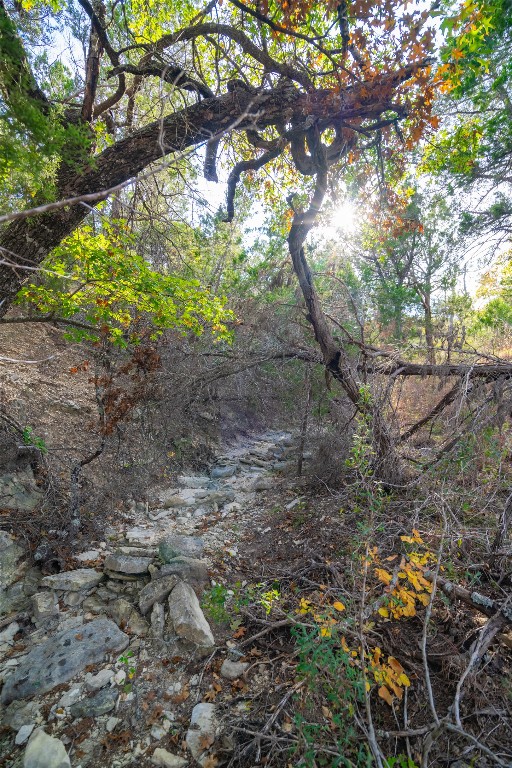 518 Curly H Ranch Road Dripping Springs, TX 78620 - Photo 21 of 40 a backyard of a house with lots of green space