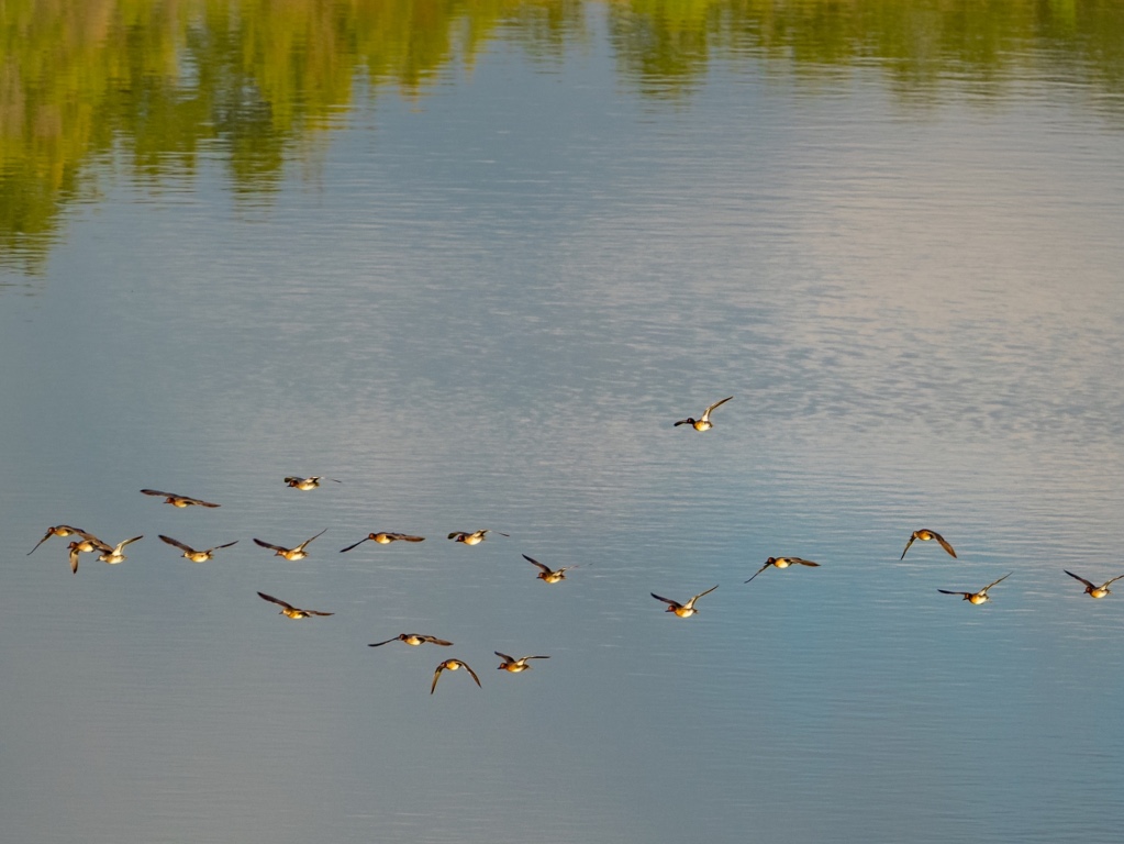 518 Curly H Ranch Road Dripping Springs, TX 78620 - Photo 23 of 40 a bathroom with a shower