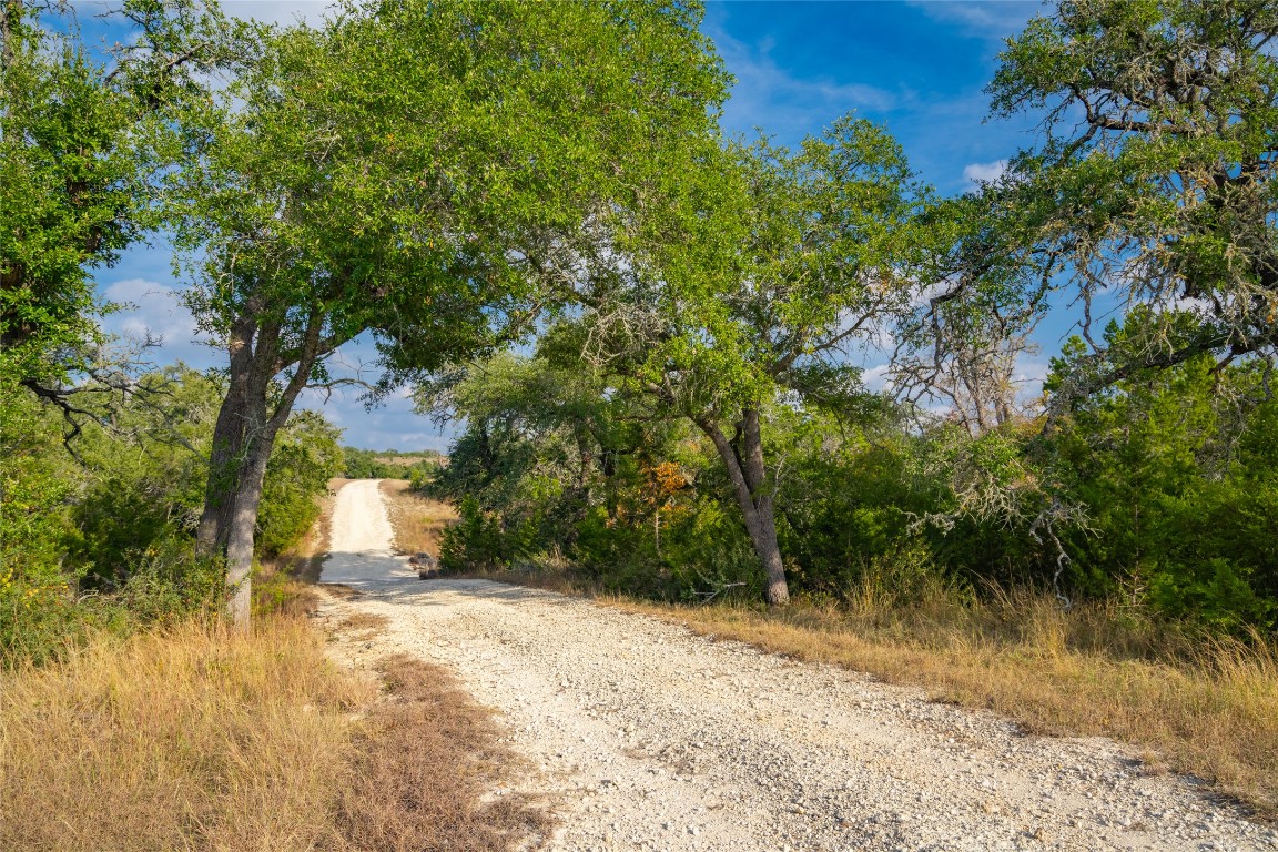 518 Curly H Ranch Road Dripping Springs, TX 78620 - Photo 33 of 40 a view of a yard with a tree