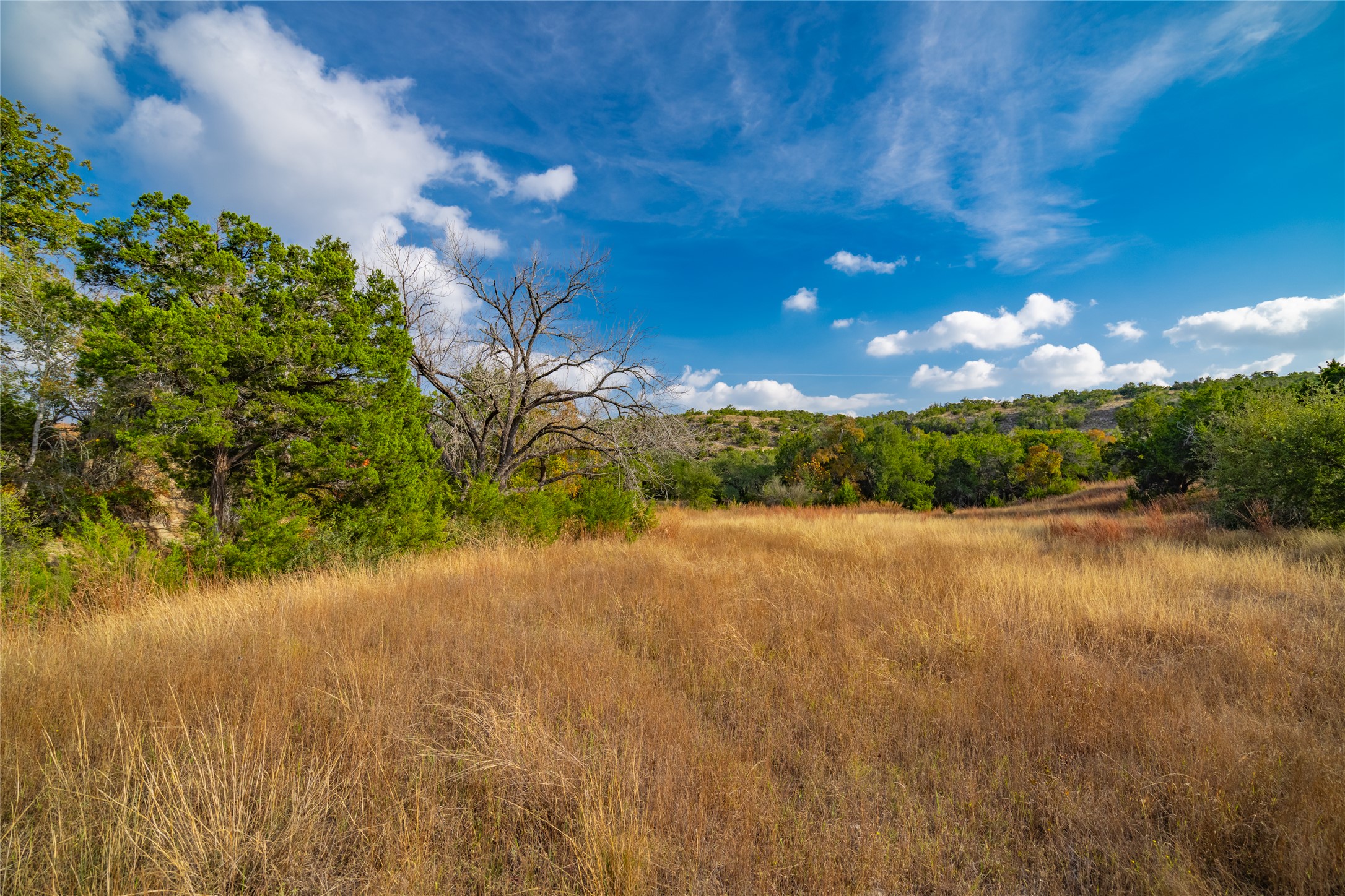 518 Curly H Ranch Road Dripping Springs, TX 78620 - Photo 38 of 40