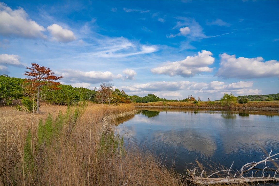 518 Curly H Ranch Road Dripping Springs, TX 78620 - Photo 6 of 40