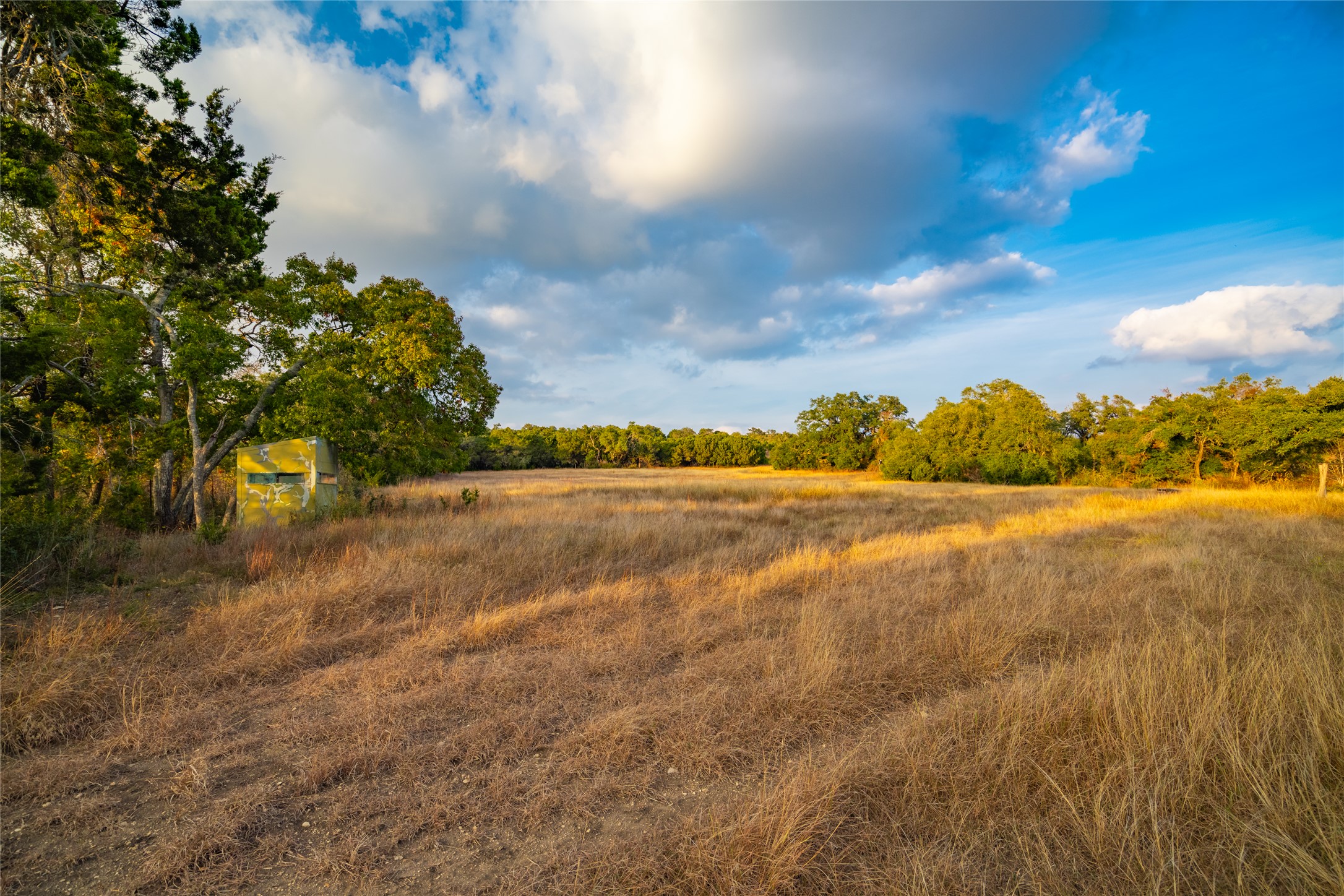 518 Curly H Ranch Road Dripping Springs, TX 78620 - Photo 8 of 40 a view of lake view and mountain