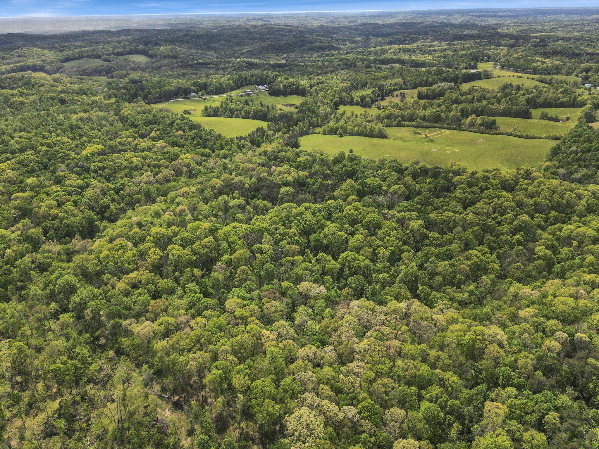29500 Fairview Ridge Road Logan, OH 43138 - Photo 14 of 73 14-web-or-mls-DJI_0709