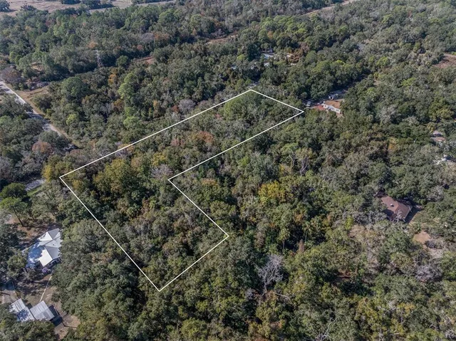an aerial view of forest
