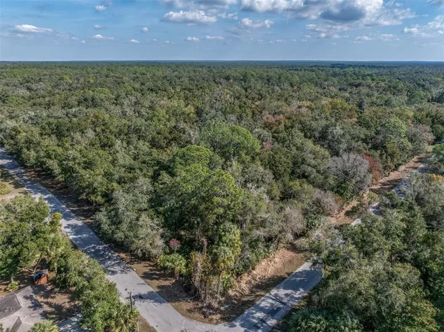 an aerial view of residential house with outdoor space and trees all around