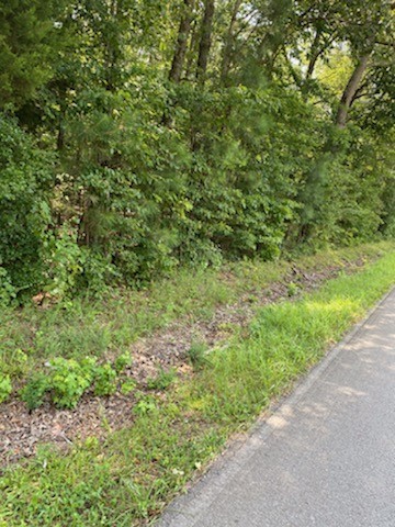 0 New Hope Road Manchester, TN 37355 - Photo 1 of 4 a view of a garden with a plant