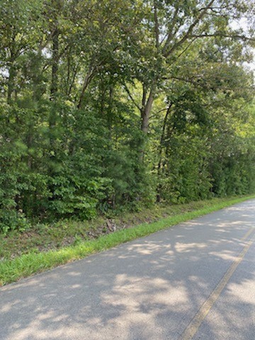 0 New Hope Road Manchester, TN 37355 - Photo 2 of 4 a view of a yard with a trees