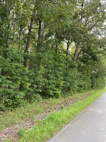0 New Hope Road Manchester, TN 37355 - Photo 3 of 4 a view of a lush green space
