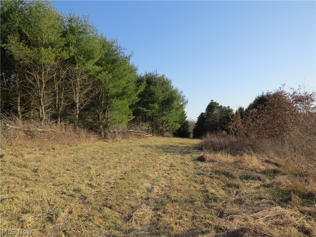 Nectar Road Salineville, OH 43945 - Photo 10 of 15 Gallery Image 10