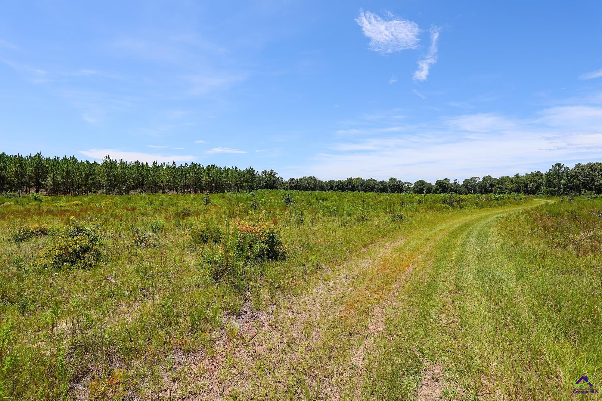 Roddy Road Eastman, GA 31023 - Photo 4 of 14