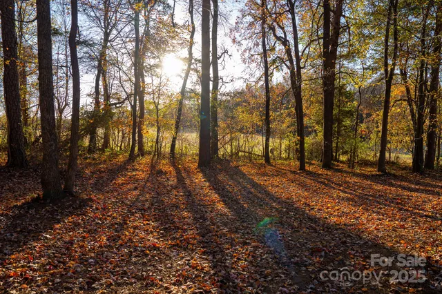 a front view of house with a garden