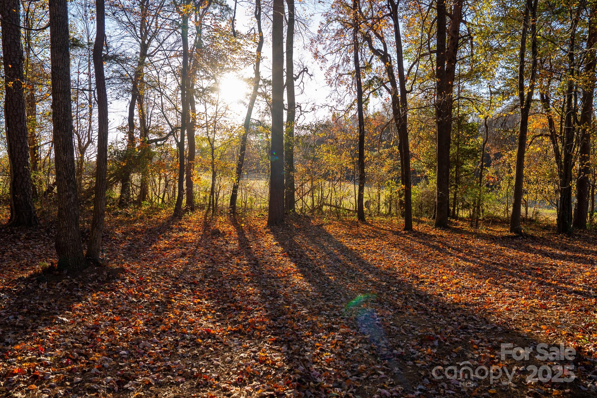 44585 Baldwin Road New London, NC 28127 - Photo 37 of 47 a view of yard