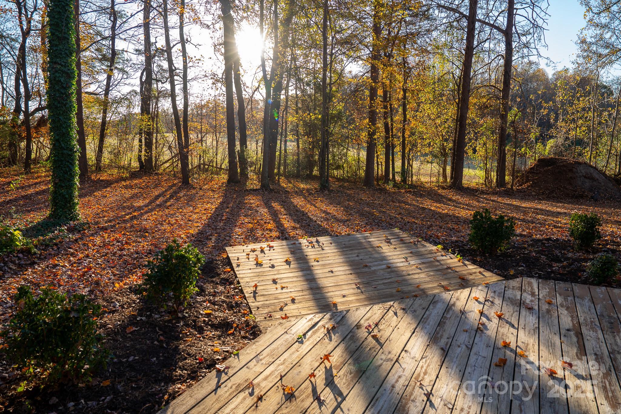 44585 Baldwin Road New London, NC 28127 - Photo 38 of 47 a view of a yard