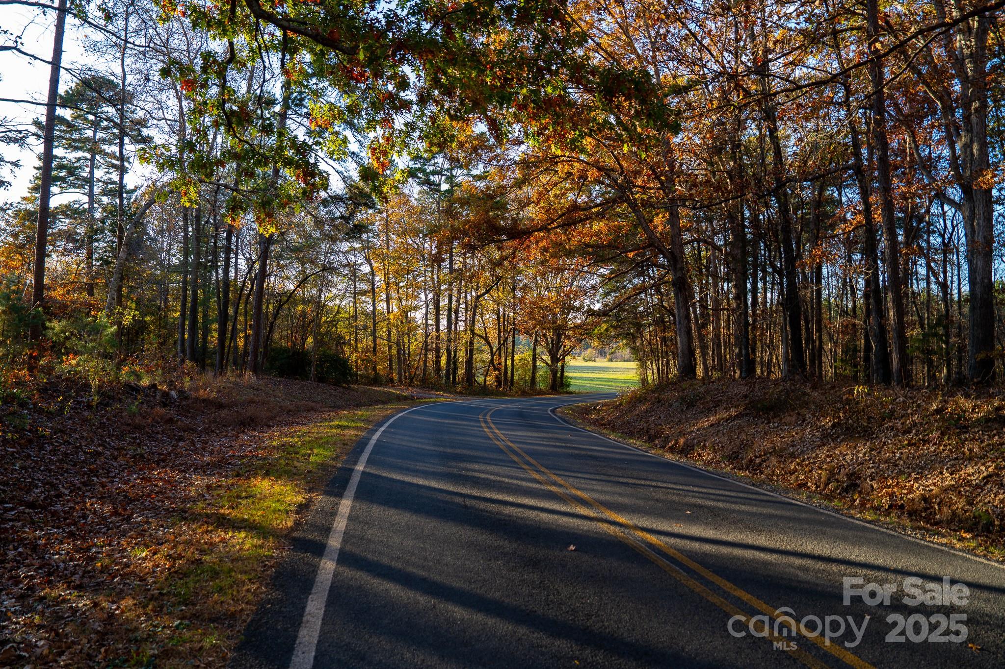 44585 Baldwin Road New London, NC 28127 - Photo 45 of 47 a view of backyard with tree