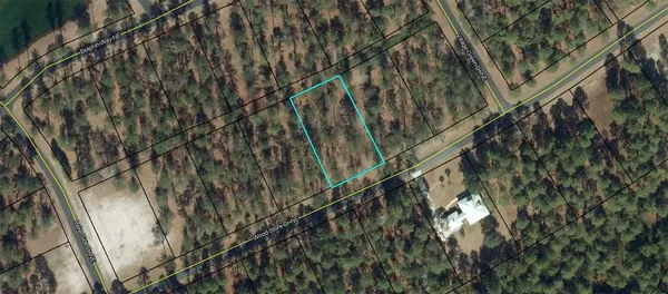 $38,000 | Lot 684 Wood Stork Drive Northeast, Townsend, GA 31331