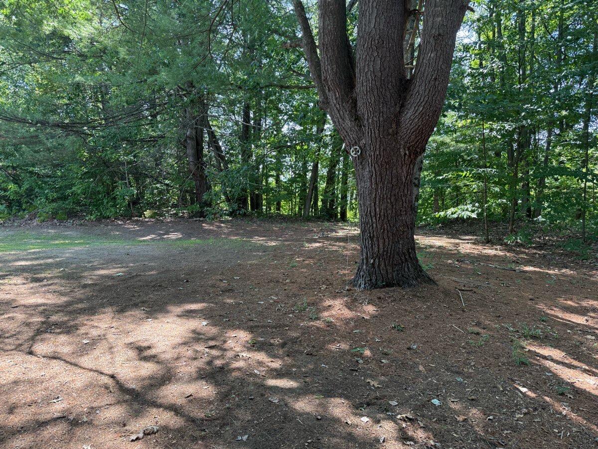 769 Clintonville Road Peru, NY 12972 - Photo 4 of 39 5+ Acre Lot