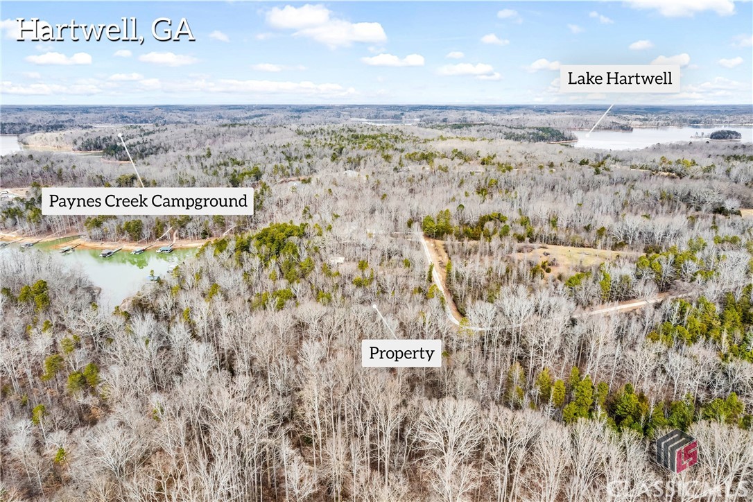 0 Paynes Creek Road, Unit LOT 7 Hartwell, GA 30643 - Photo 9 of 17