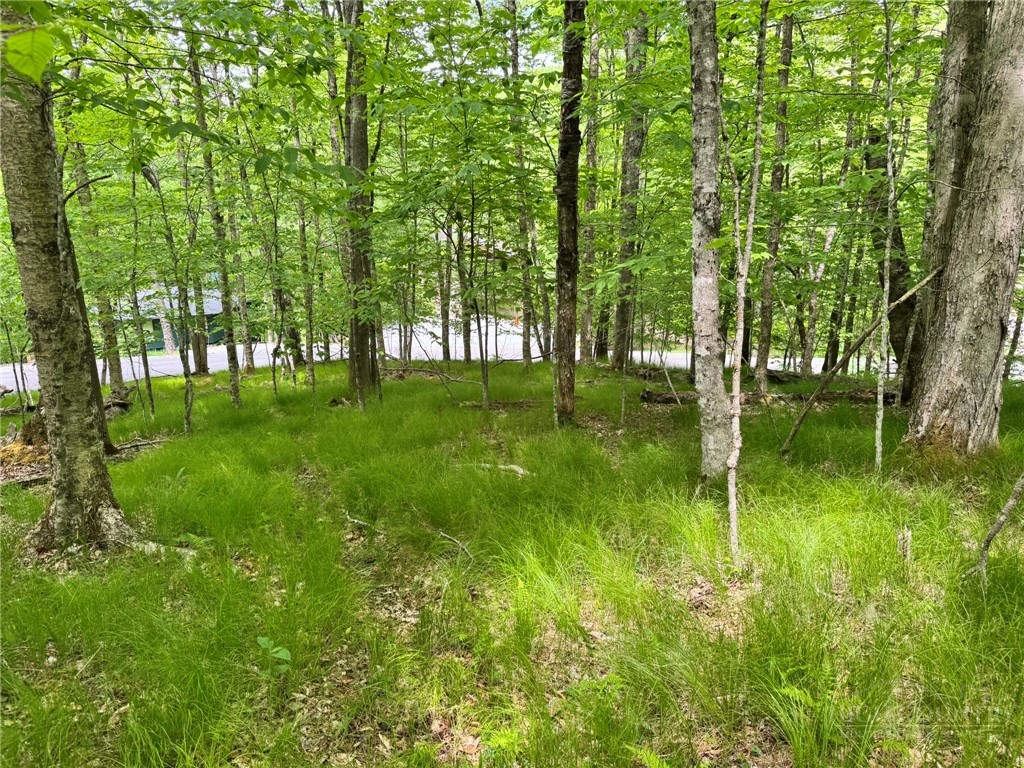 146 Hornbeam Road Beech Mountain, NC 28604 - Photo 11 of 14