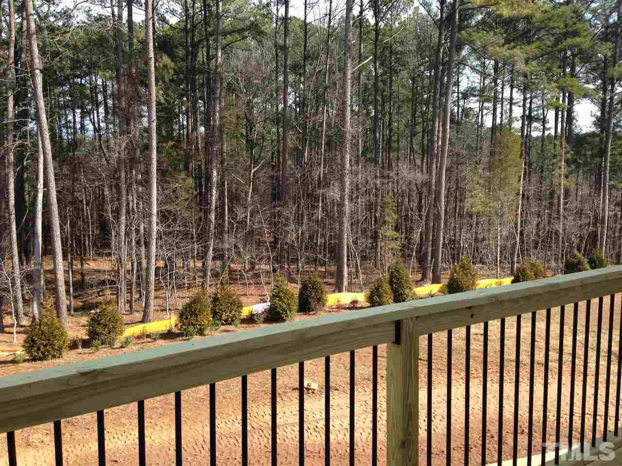 632 Edgewater Ridge Court Apex, NC 27523 - Photo 8 of 21 a view of balcony with outdoor space