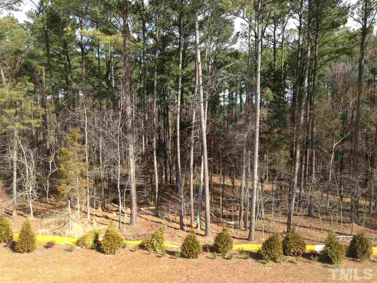 632 Edgewater Ridge Court Apex, NC 27523 - Photo 10 of 21 a view of a building with a outdoor space