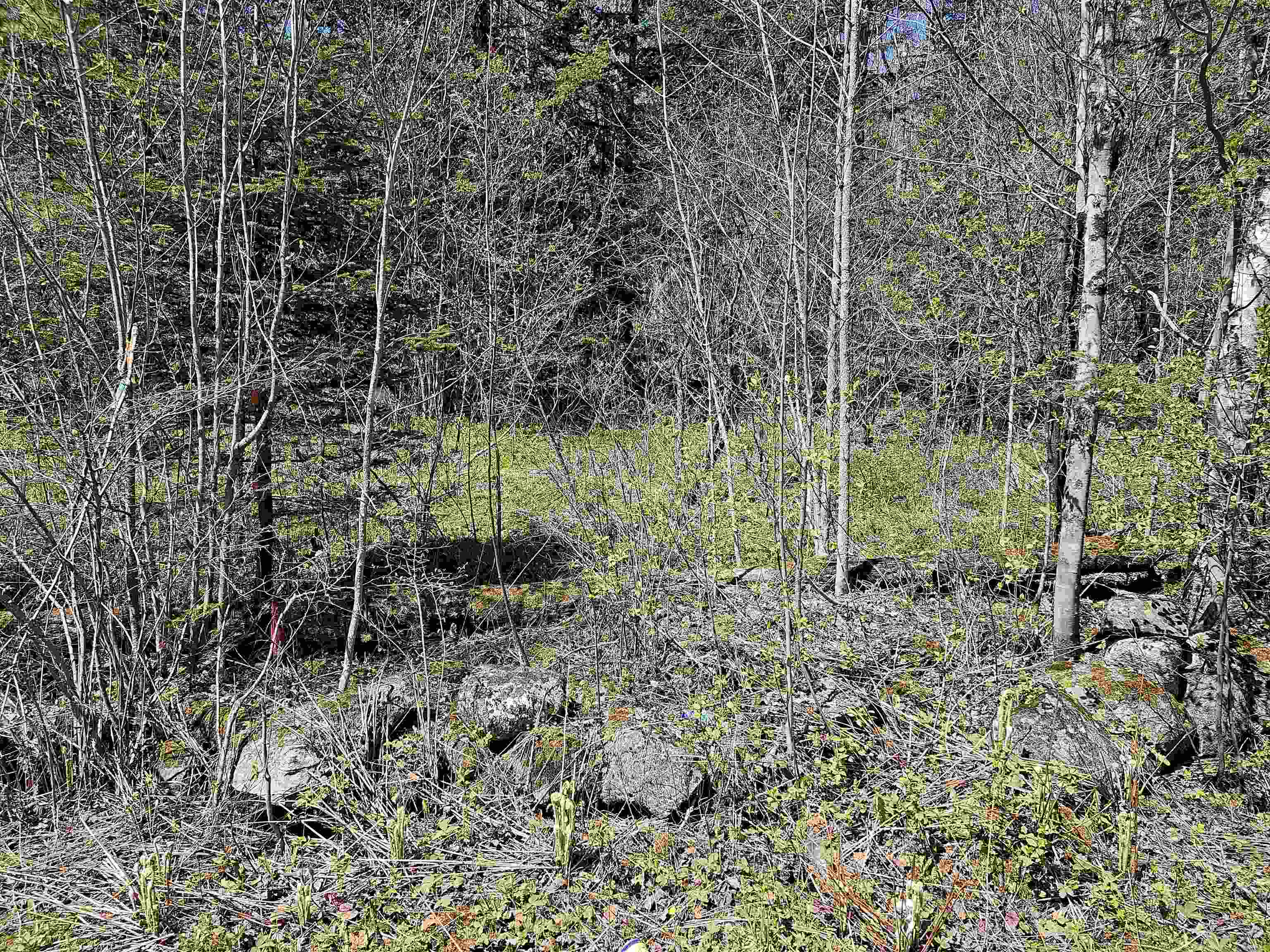 0 Shadow Lake Road, Unit 4 Concord, VT 05824 - Photo 3 of 15