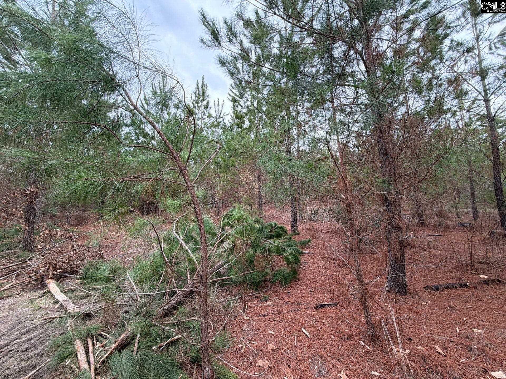 4 Jc Barefoot Road, Unit BFF II 4 Patrick, SC 29584 - Photo 27 of 32