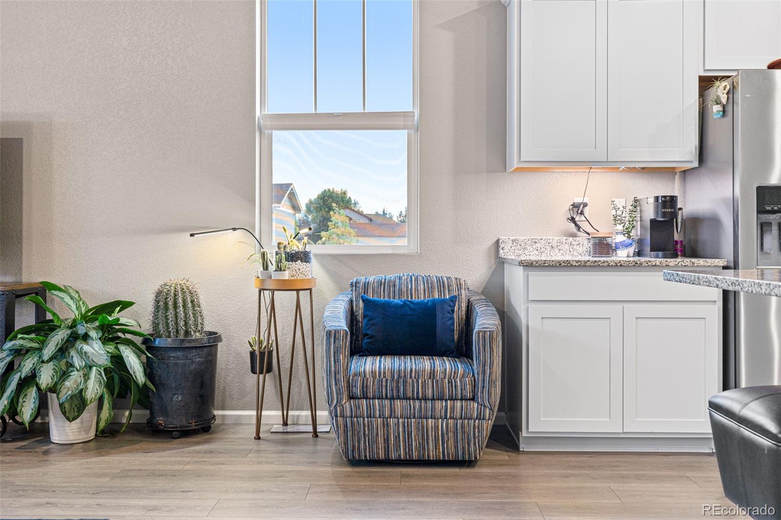 10054 Carefree Street Firestone, CO 80504 - Photo 16 of 50 a living room with furniture and a potted plant