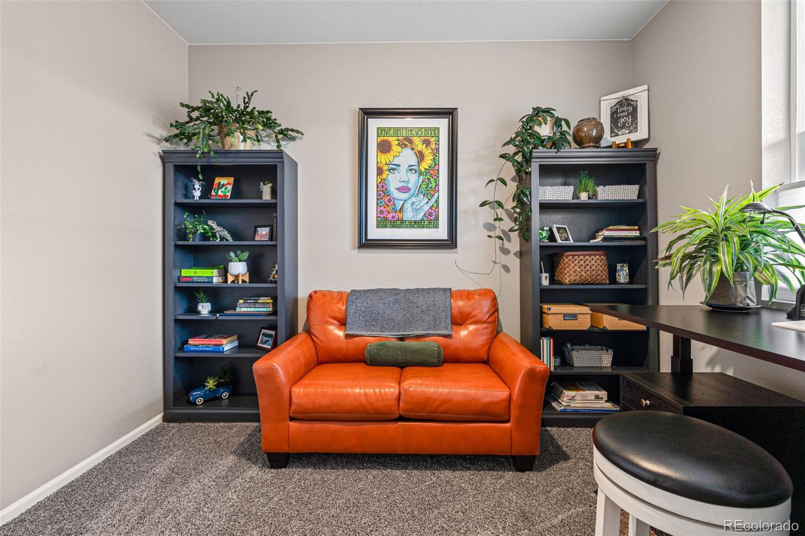 10054 Carefree Street Firestone, CO 80504 - Photo 31 of 50 a living room with furniture a bookshelf and a potted plant