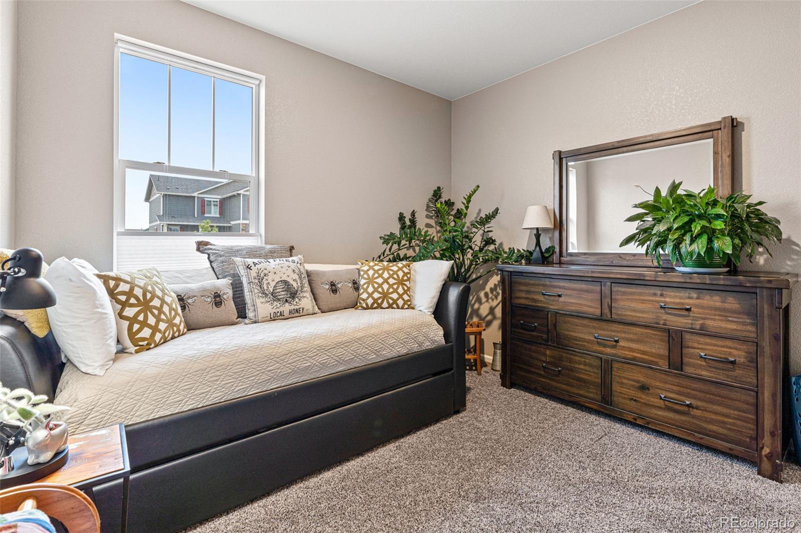 10054 Carefree Street Firestone, CO 80504 - Photo 33 of 50 a living room with furniture and a potted plant