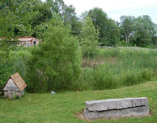 621 Cape Road Limington, ME 04049 - Photo 10 of 11 Other. Duck house & pond